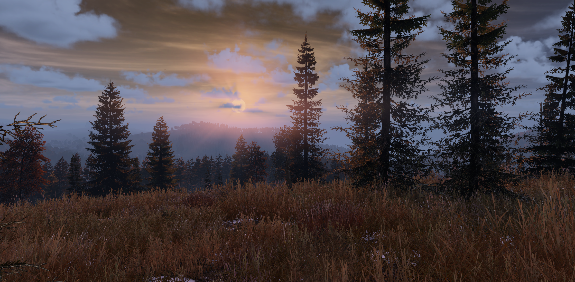 Survivors exploring the Chernarus landscape